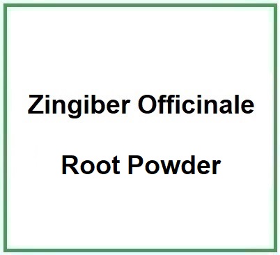 Zingiber Officinale Root Powder